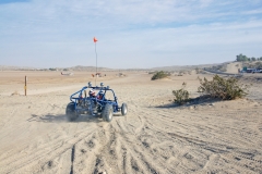 DuneBuggy03