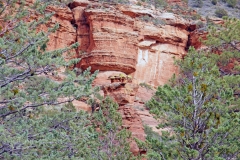 Sedona Scenery