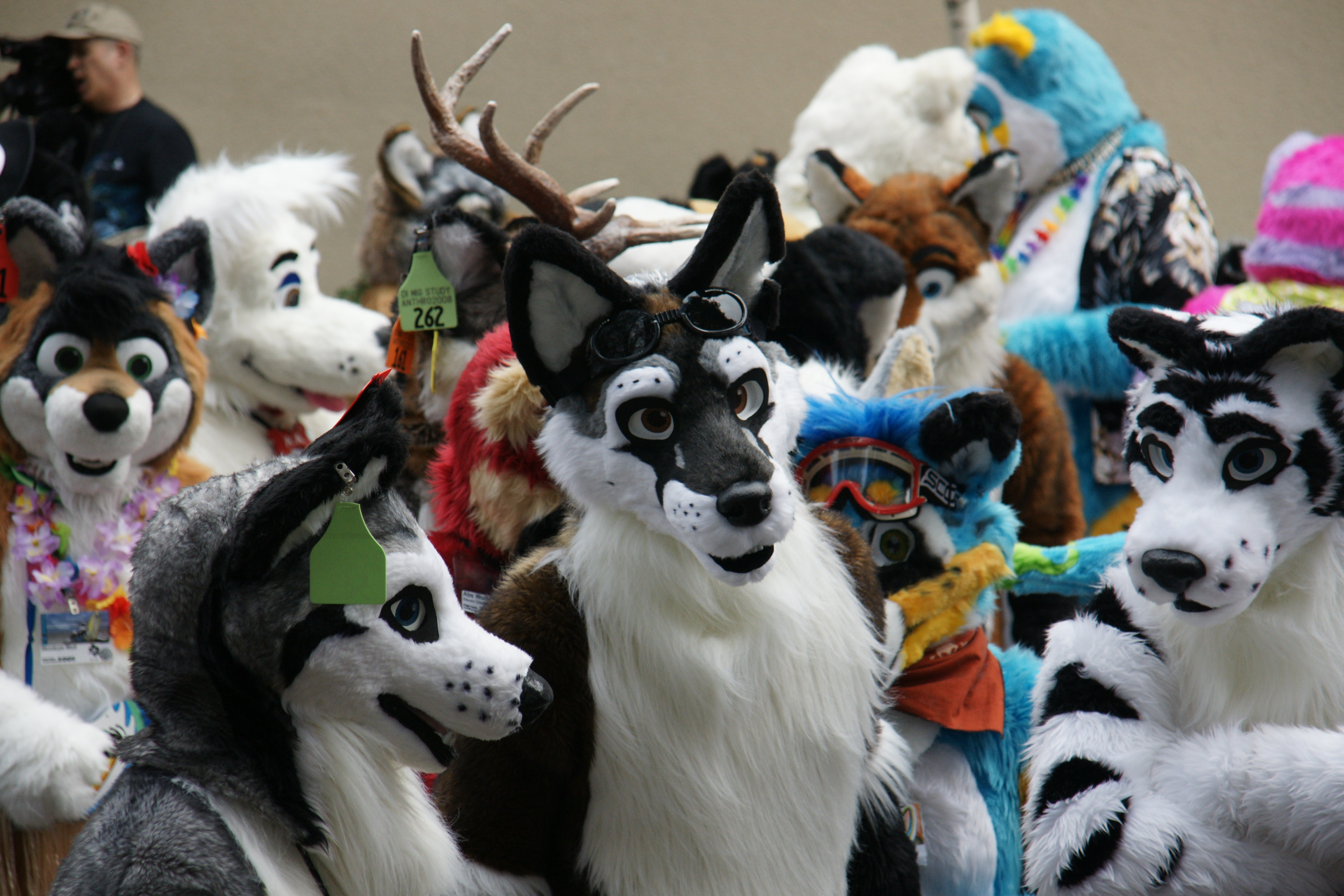 FurSuits-Gallery02