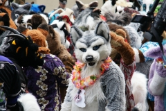 FurSuits-Gallery04