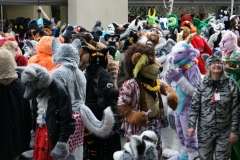 FurSuits-Gallery06