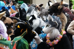 FurSuits-Gallery09