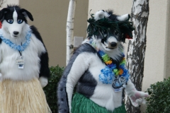 FurSuits-Gallery10