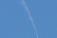 Blue Angels