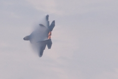 F-22 Raptor