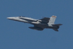 McDonnell Douglas F/A-18 Hornet