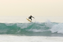 SDSurfers007