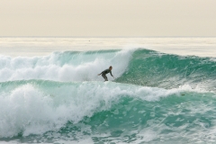 SDSurfers012