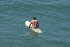 SDSurfers042