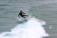 SDSurfers084