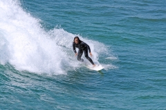 SDSurfers108