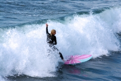 SDSurfers110