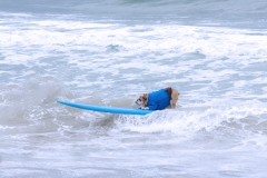 BullDogSurfing05