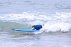 BullDogSurfing06