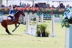 DMHP-Approach-Gallery06