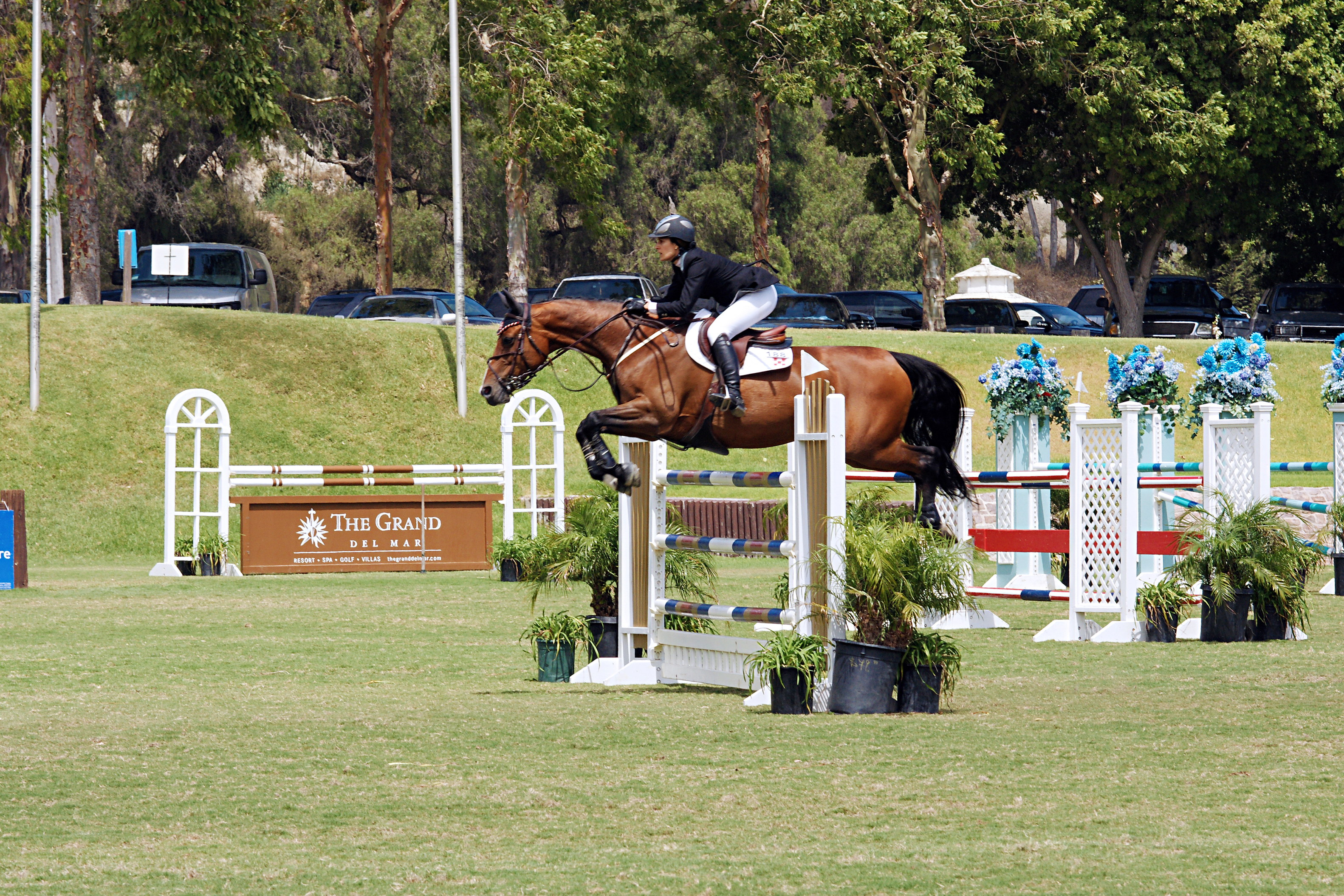Del-Mar-Horse-Park-In-the-Air-Gallery02