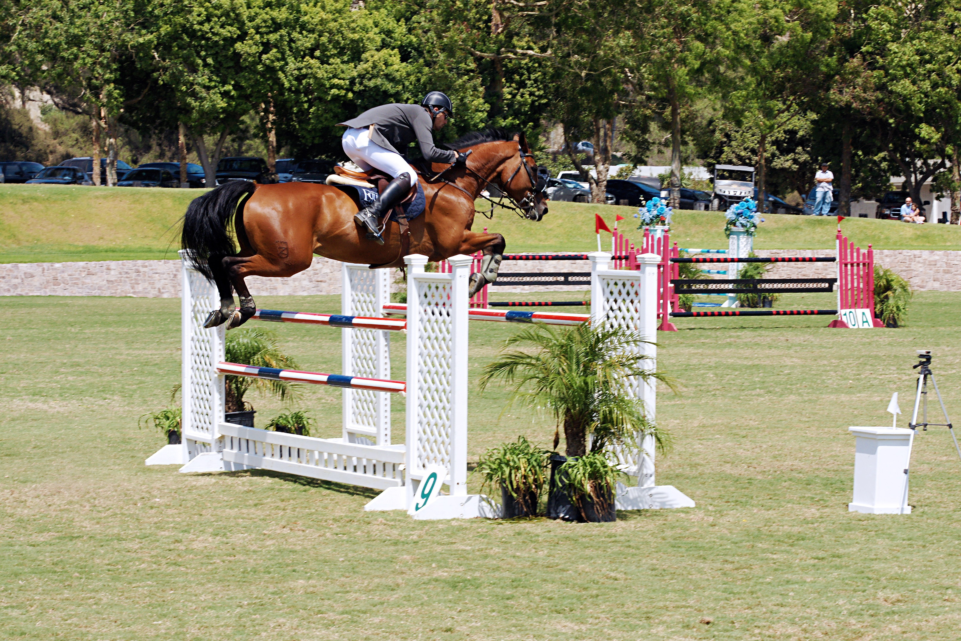 Del-Mar-Horse-Park-In-the-Air-Gallery05