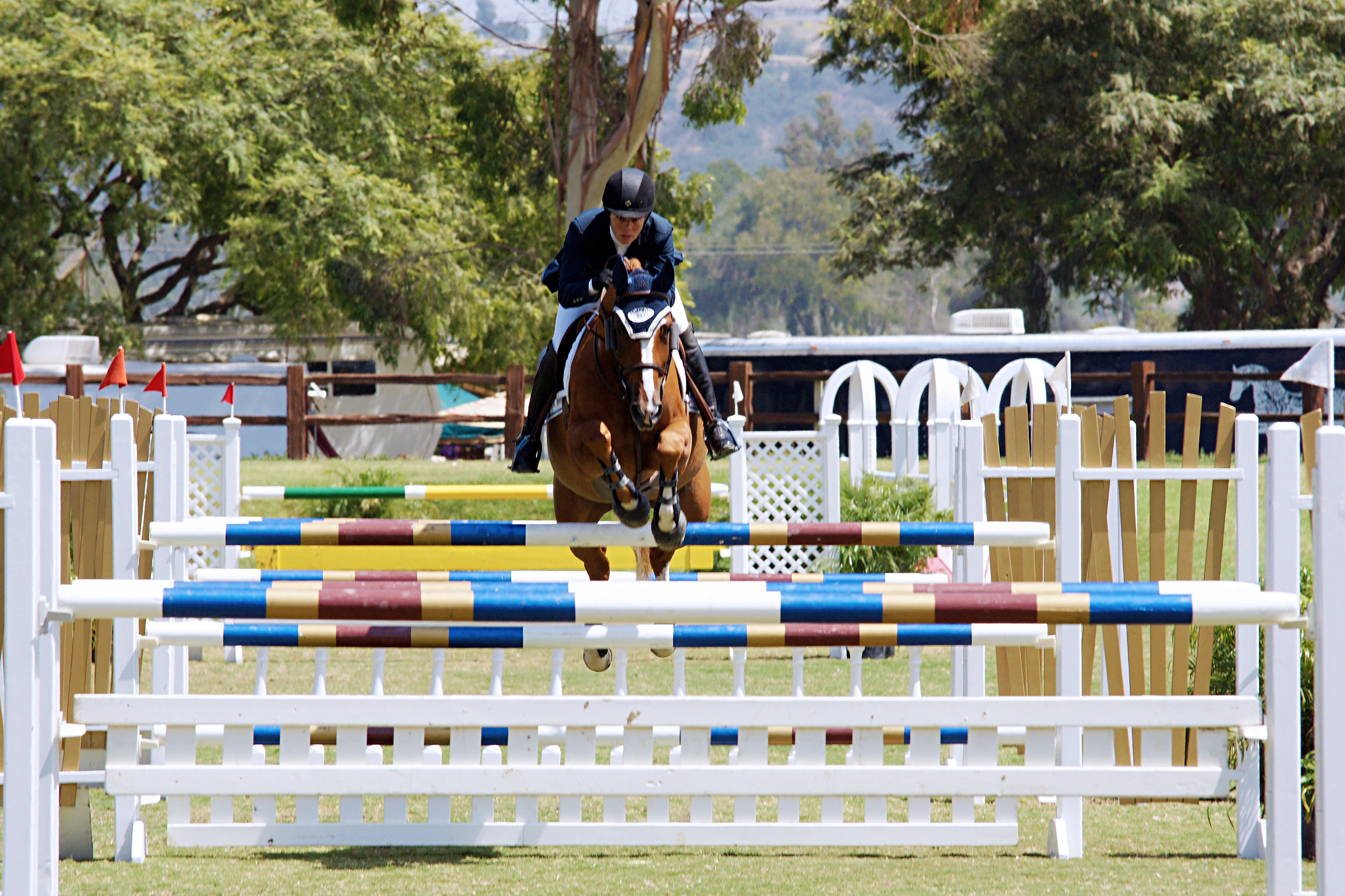 Del-Mar-Horse-Park-In-the-Air-Gallery09