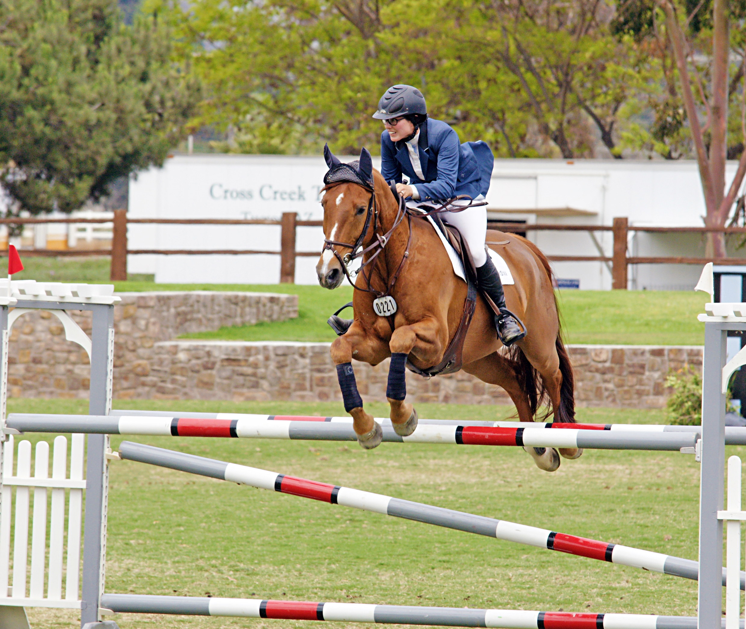 Del-Mar-Horse-Park-In-the-Air-Gallery20