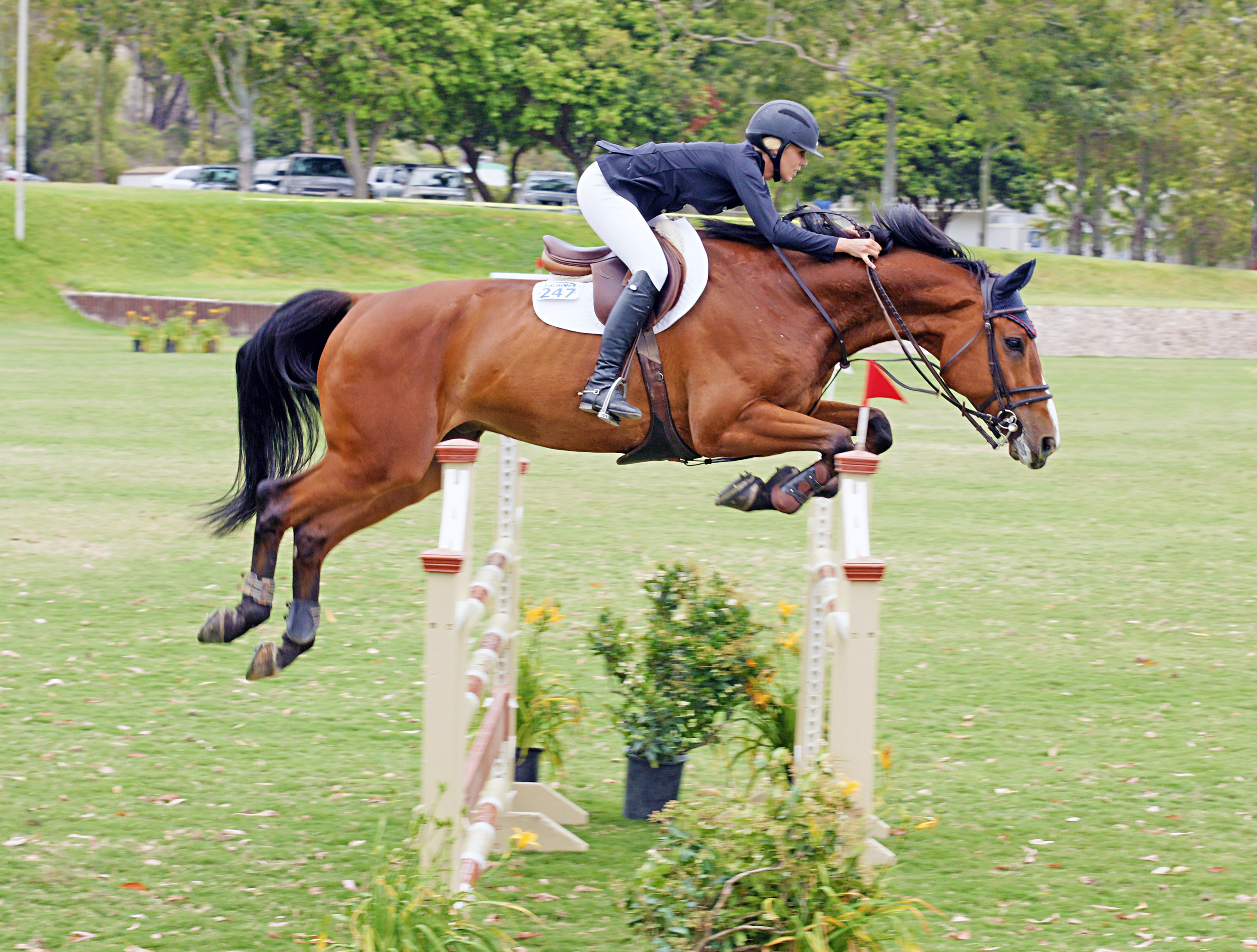 Del-Mar-Horse-Park-In-the-Air-Gallery21