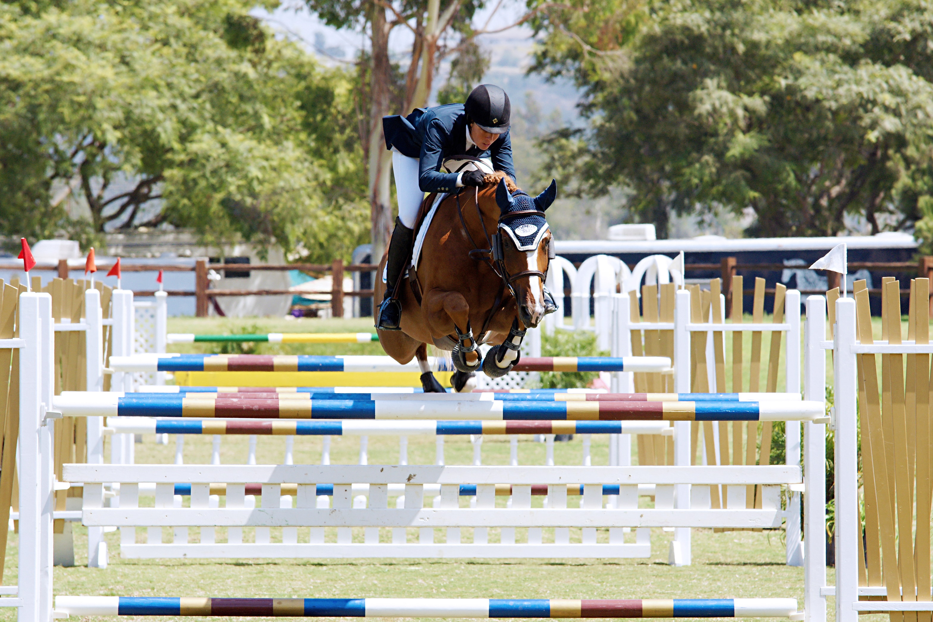Del-Mar-Horse-Park-In-the-Air-Gallery23
