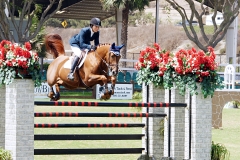 Del-Mar-Horse-Park-In-the-Air-Gallery01