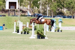 Del-Mar-Horse-Park-In-the-Air-Gallery04