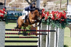 Del-Mar-Horse-Park-In-the-Air-Gallery06