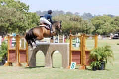 Del-Mar-Horse-Park-In-the-Air-Gallery11