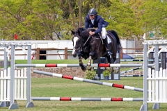 Del-Mar-Horse-Park-In-the-Air-Gallery24