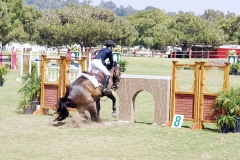 DMHP-Refusal-Gallery03