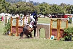 DMHP-Refusal-Gallery04