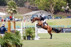 DMHP-Starting-the-Jump-Gallery03