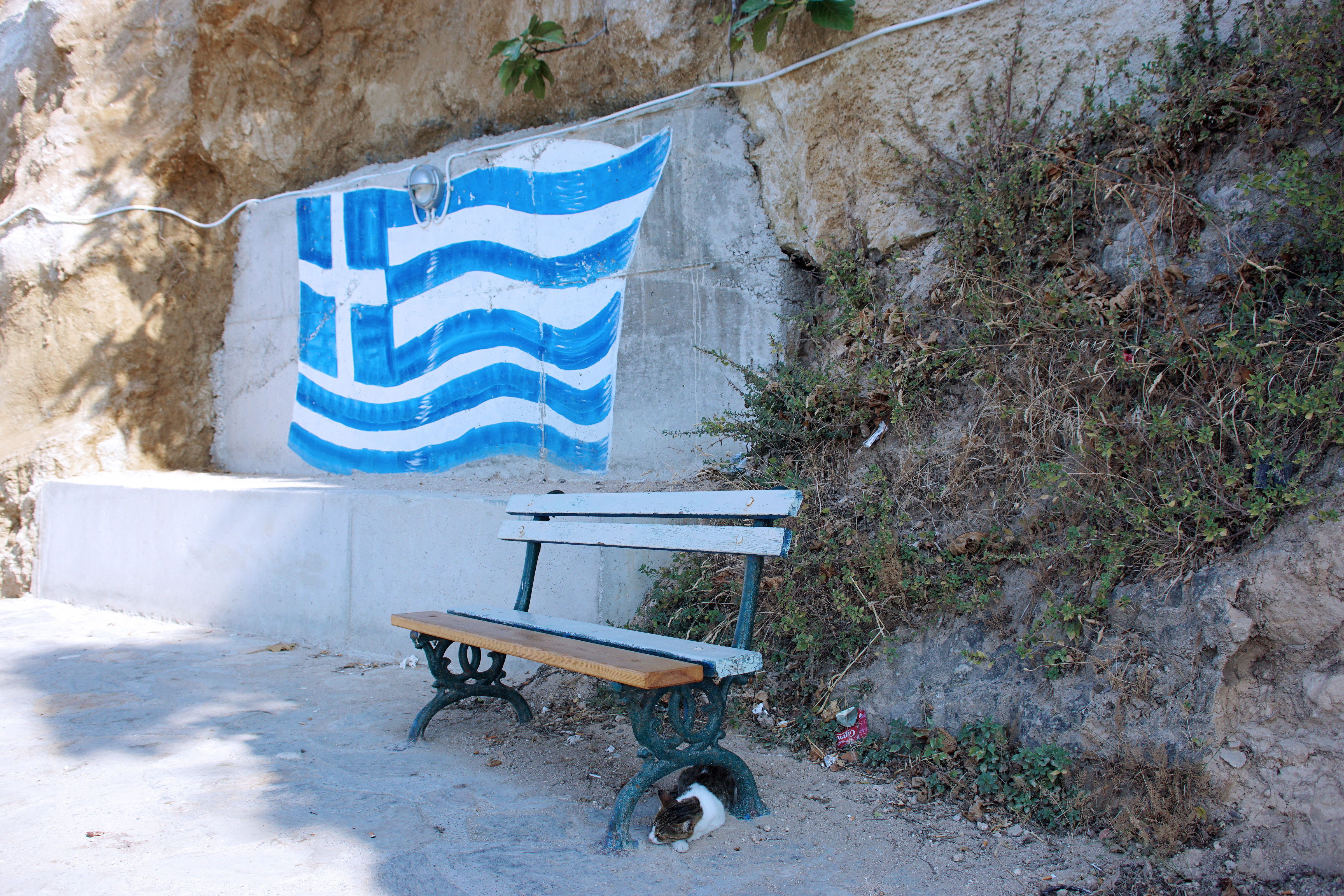 Samos-Greek-Cats03
