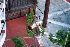 Samos-Greek-Cats05