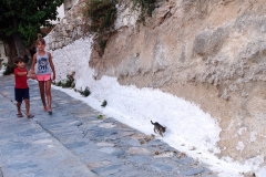 Samos-Greek-Cats25