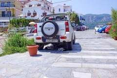 Samos-Greek-Cats63