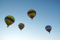 aibf-Single-Balloons-Gallery03