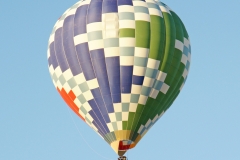 aibf-Single-Balloons-Gallery06