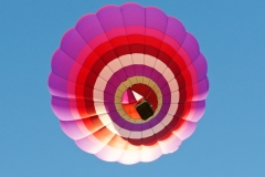 aibf-Single-Balloons-Gallery08