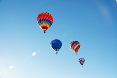 aibf-Single-Balloons-Gallery12