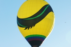 aibf-Single-Balloons-Gallery13