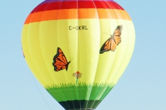 aibf-Single-Balloons-Gallery16