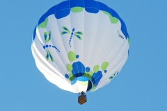 aibf-Single-Balloons-Gallery17