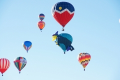 aibf-Special-Shapes-Gallery07