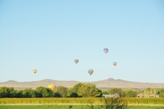 aibf-Balloon-Descent-Gallery01