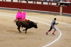 Tauromaquia-Banderilleros-Gallery03