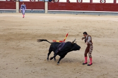 Tauromaquia-Banderilleros-Gallery06