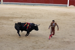 Tauromaquia-Banderilleros-Gallery07