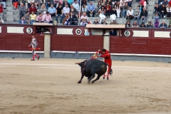 Tauromaquia-Banderilleros-Gallery10